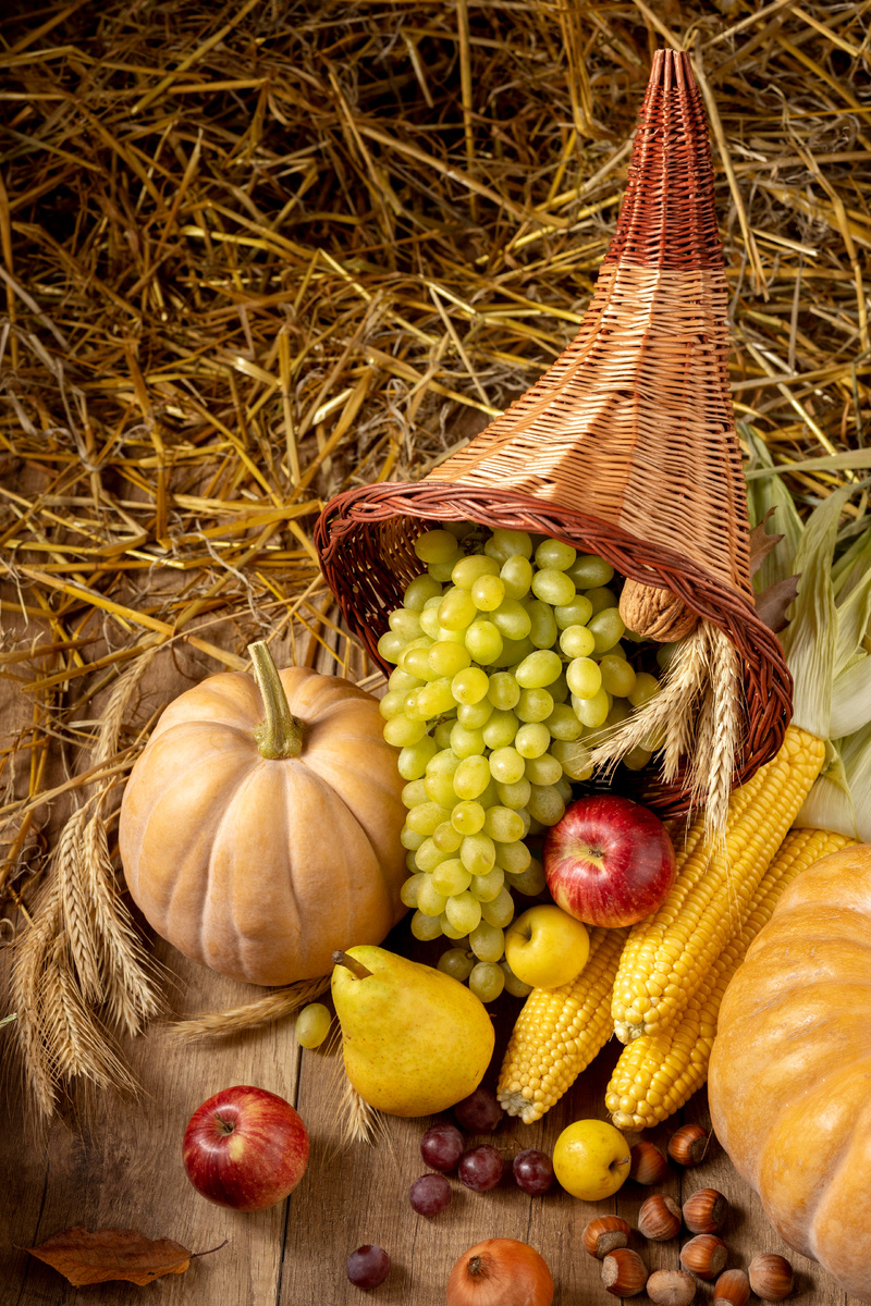 Изображение взято из открытого доступа в сети с сайта стоковых фотографий.