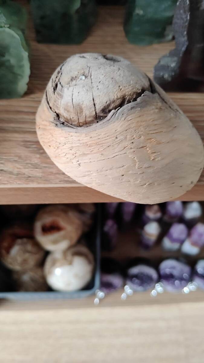 Древесный камень