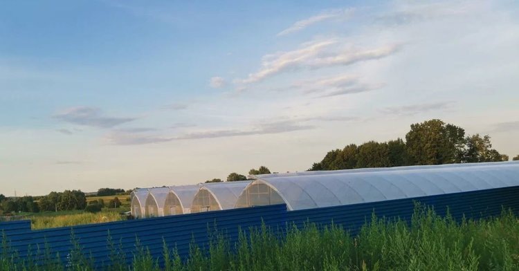    Фото: Лукьянов Дмитрий, AgroXXI.ru