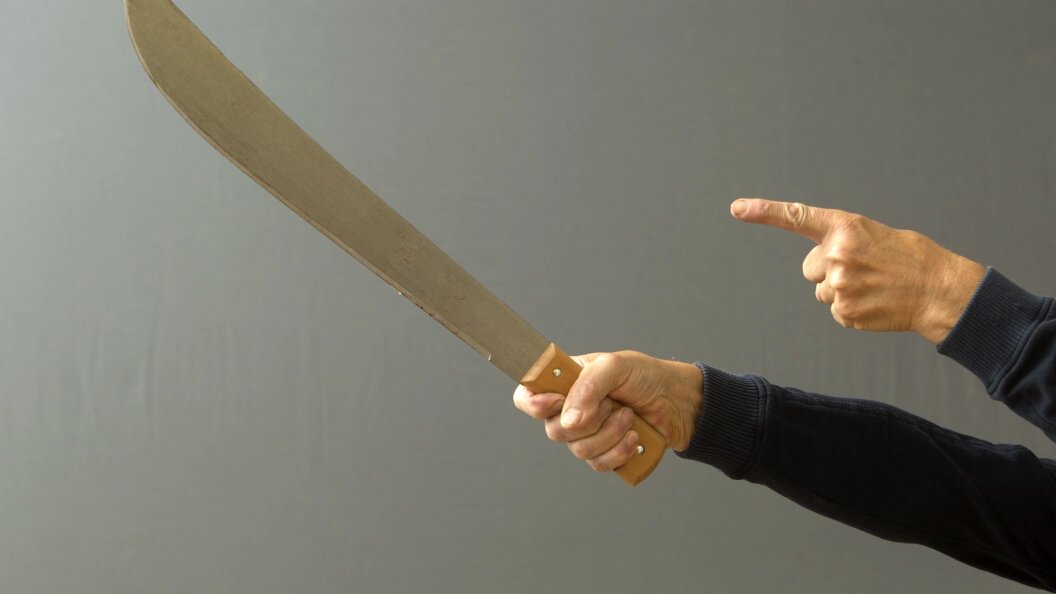    Nikolay Gyngazov/Globallookpress