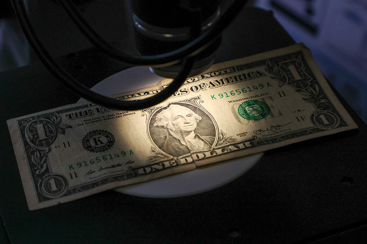    Введенные ранее Трампом пошлины уже приносят американскому бюджету миллиарды долларов дополнительного дохода, но долгосрочные экономические последствия остаются неясными, подчеркивает Bloomberg.   
Фото: © Belkin Alexey / news.ru / www.globallookpress.com