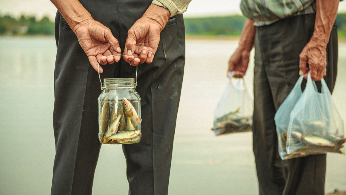 Изображение сгенерировано при помощи ИИ