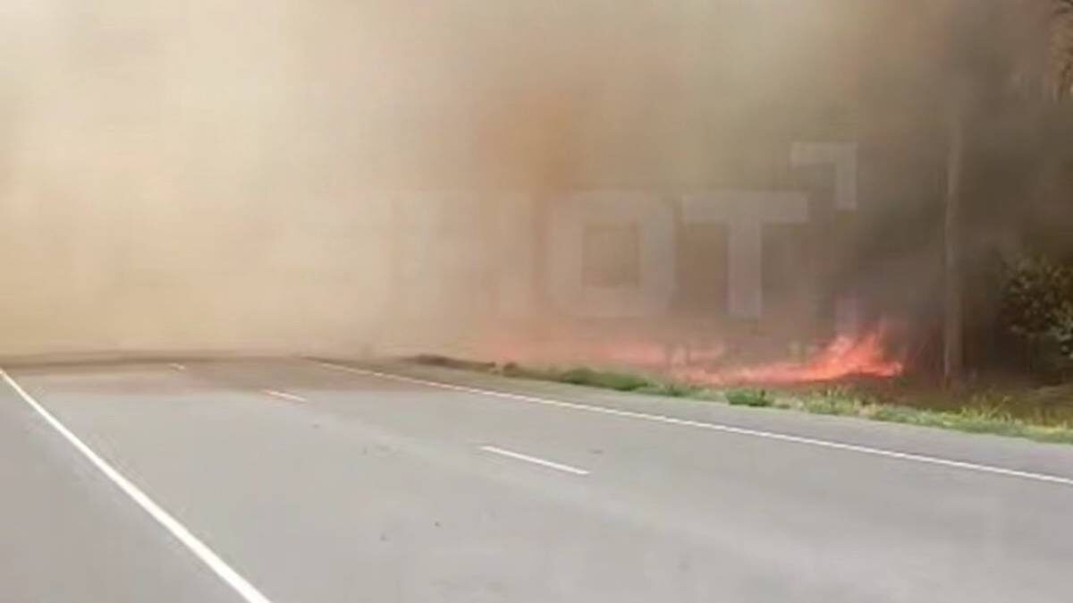    Фото: Telegram / Shot