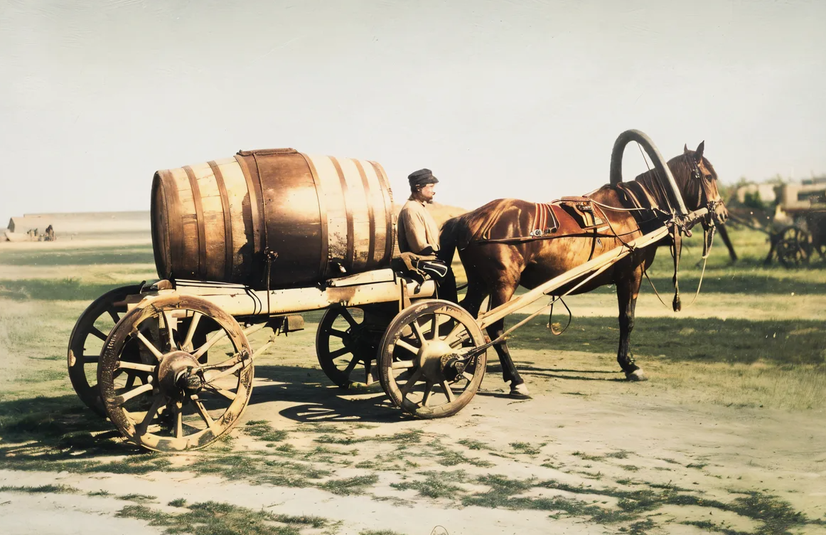 Ночные короли