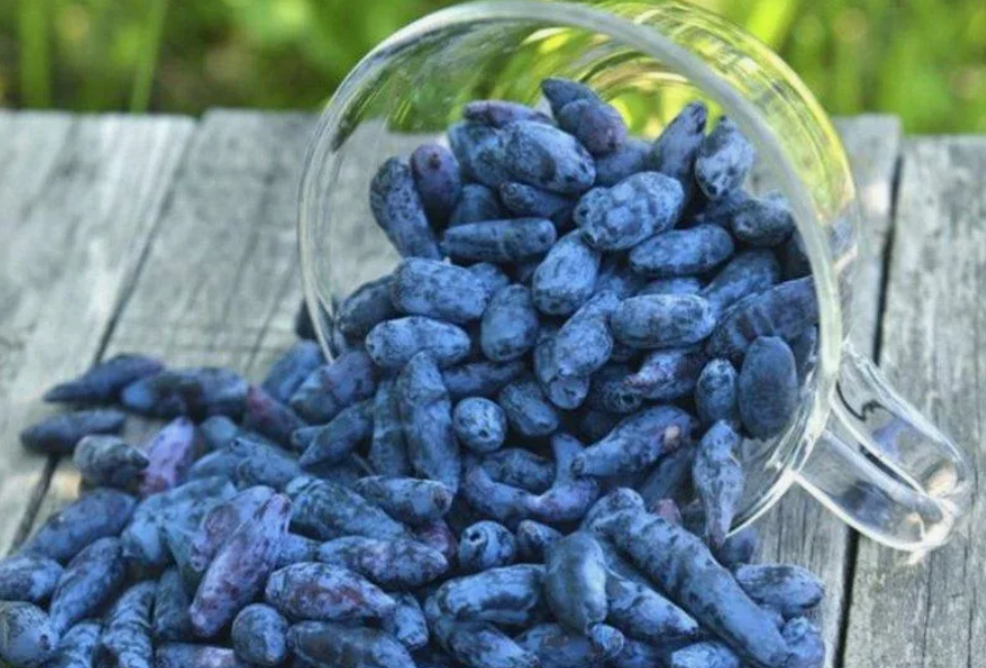 Не забывайте ставить лайки 👍👍👍👍👍👍👍