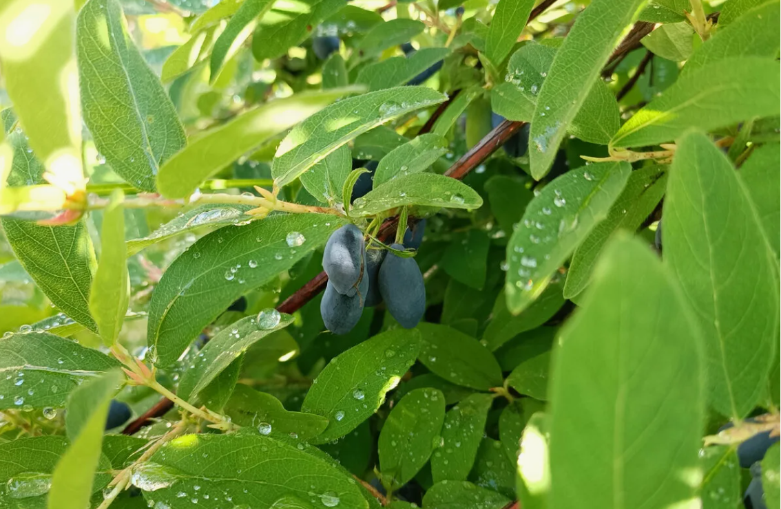 Ваши лайки помогают каналу развиваться👍👍👍👍👍👍👍