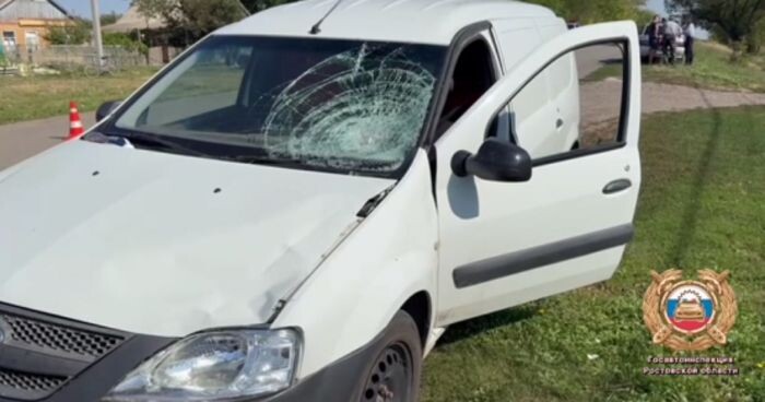 Источник фото: Госавтоинспекция Ростовской области