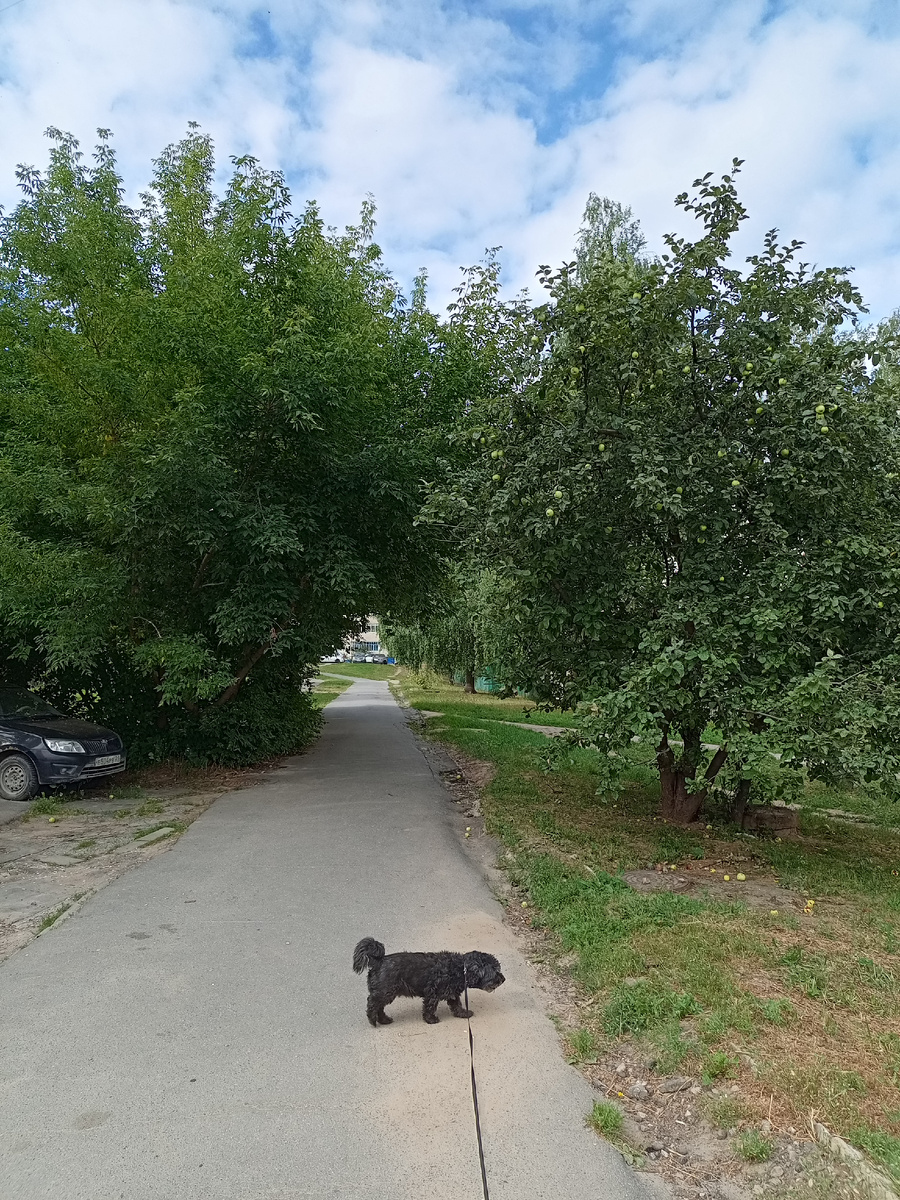 С утра еще прохладно