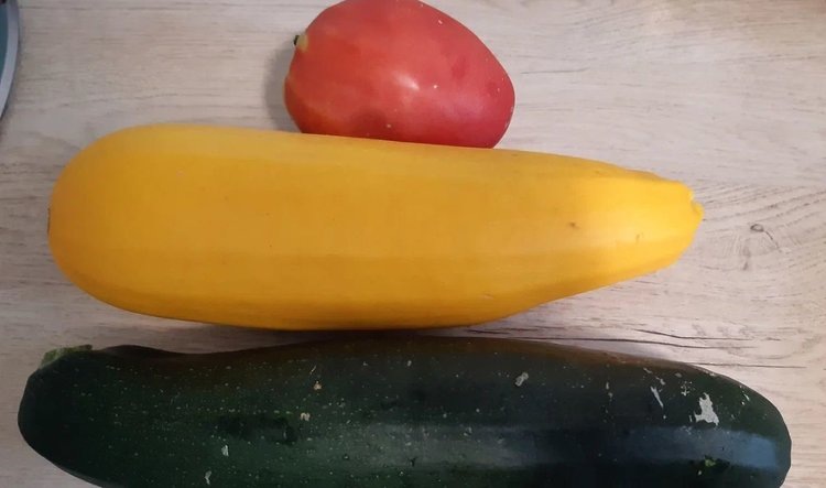    Фото: Лукьянов Дмитрий, AgroXXI.ru