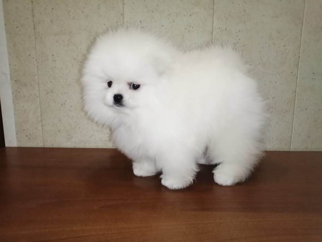 Такой я увидела Касси впервые