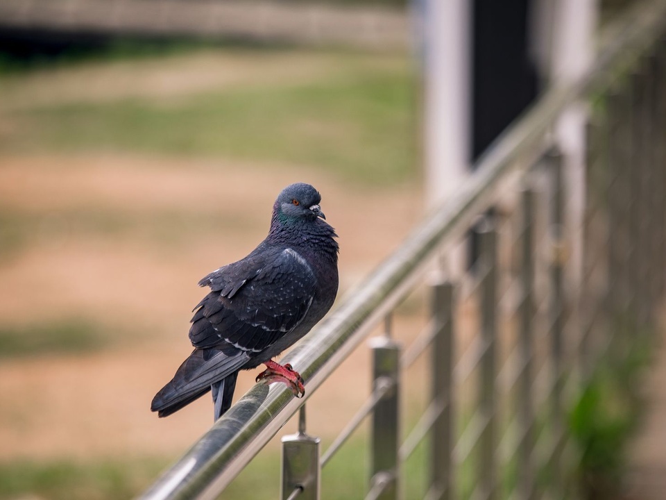    Фото: медиасток.рф