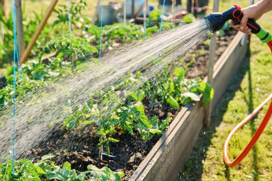    Shutterstock/FOTODOM