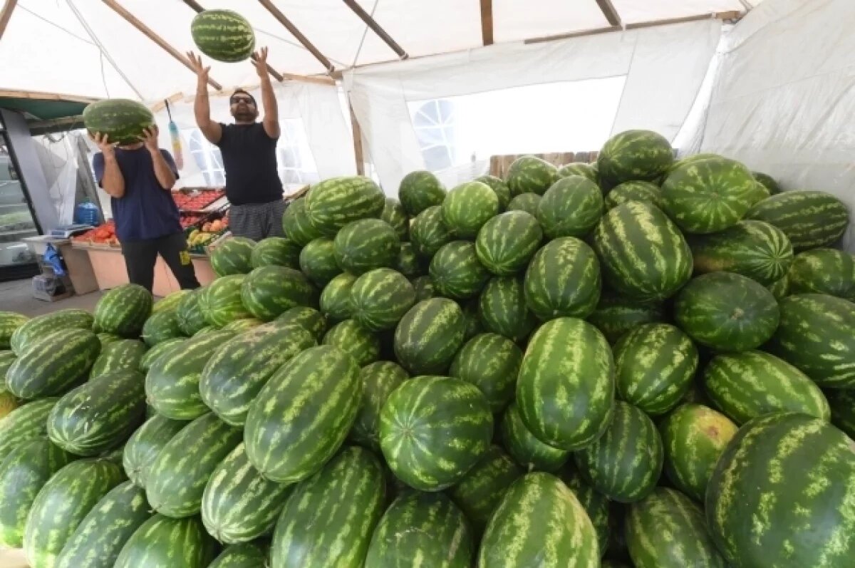    Турция стала лидером по поставкам в Калининград дынь и арбузов