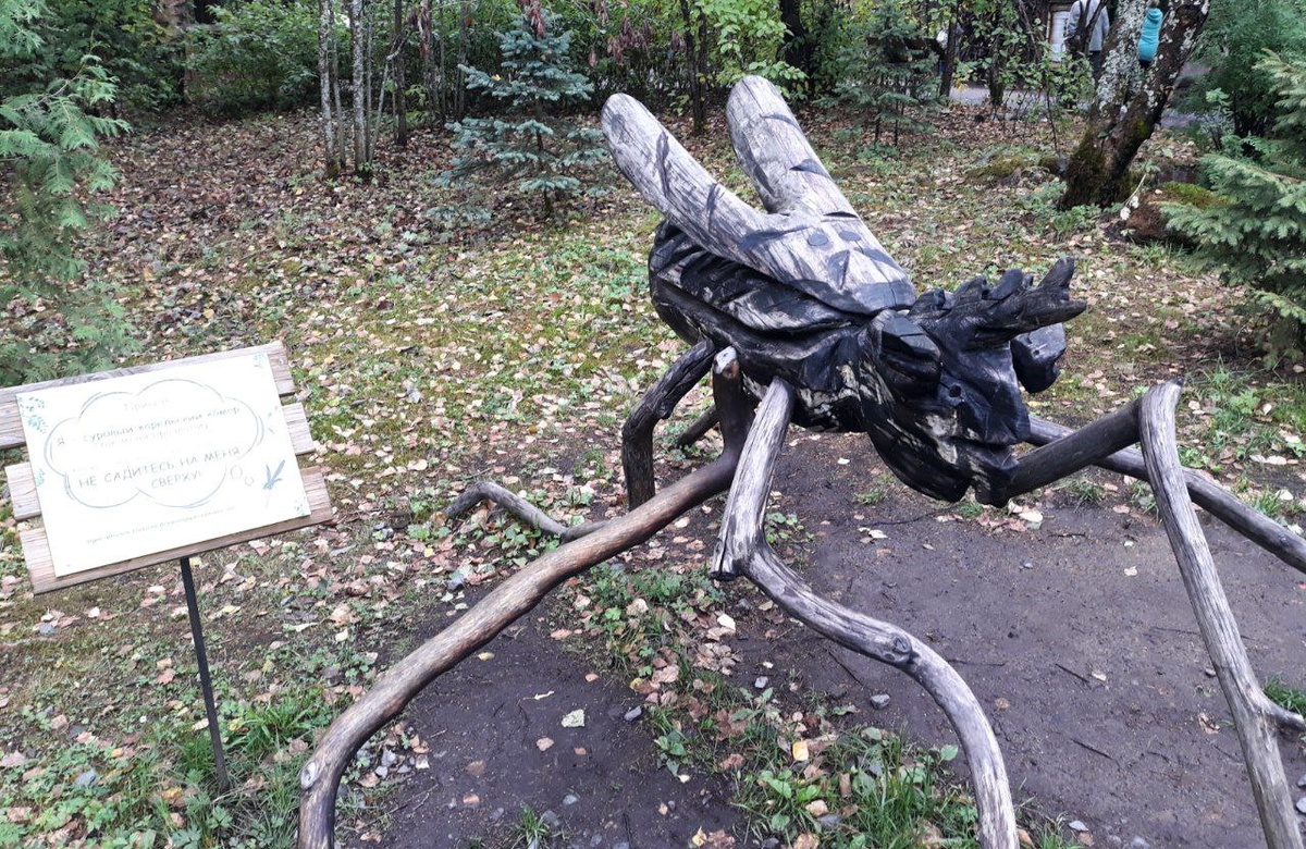 Легендарный карельский комар. Почти памятник в заповеднике "Кивач".