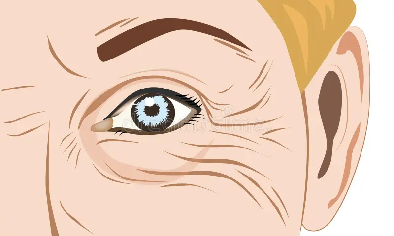 Из открытого доступа.