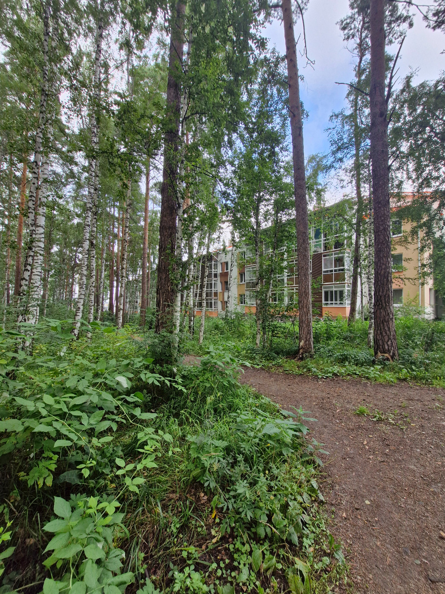 Буквально вот так живут