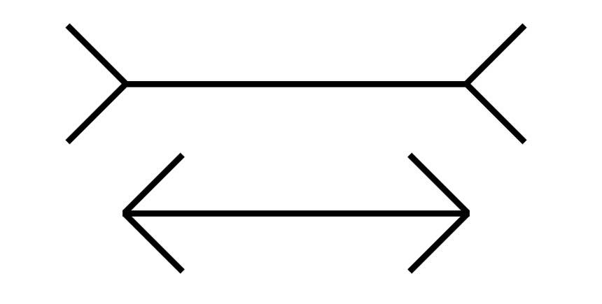 лассическая иллюзия Мюллера-Лайера