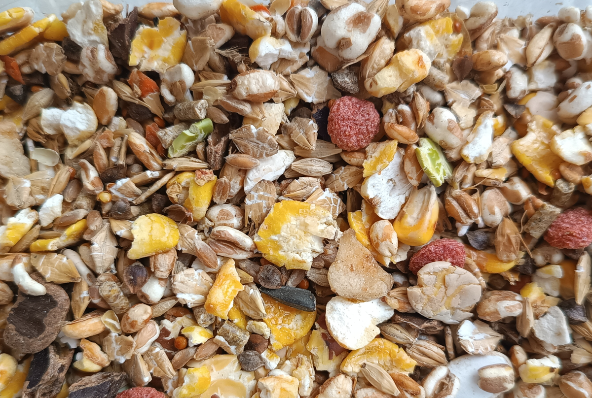 Зерновая смесь это - рожь, ячмень, овес, просо, сафлор, пшеница, кукуруза, полба, сорго, зеленая гречка, рапс, лён, подсолнух, суданская трава, тыква, канареечное семя, овсяница, расторопша, тимофеевка, укроп, фенхель, хлопья зерновые, чечевица, пайза, вика