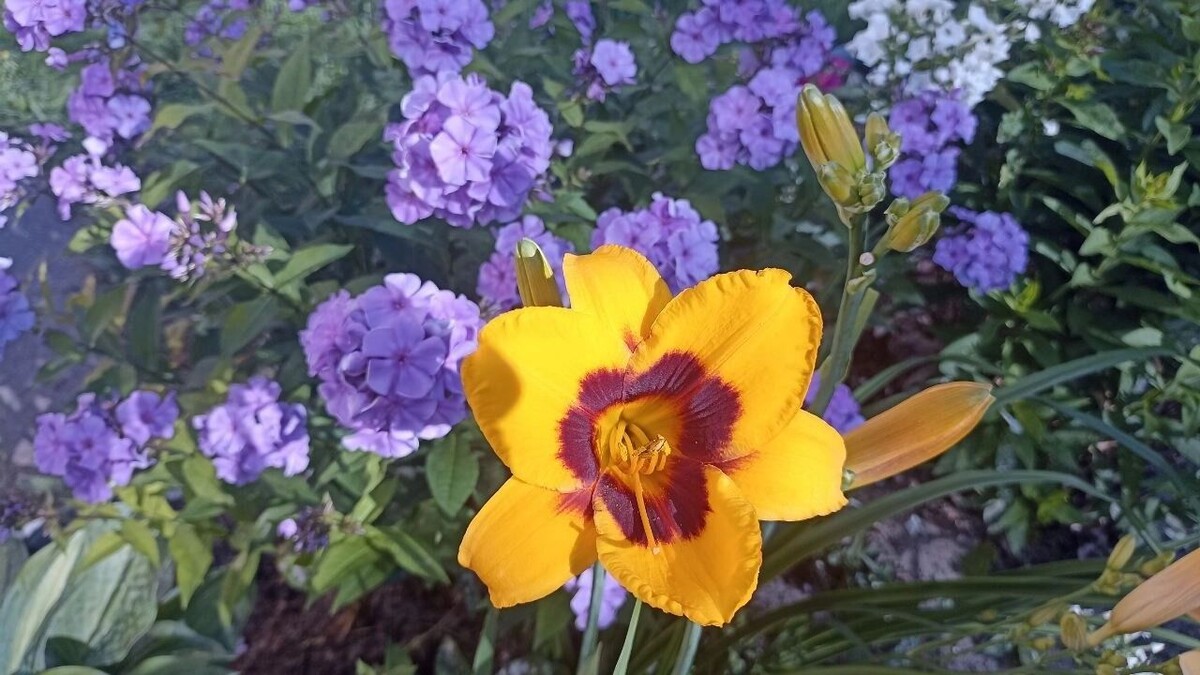     Автор: Анна Скудаева Источник: 1MI