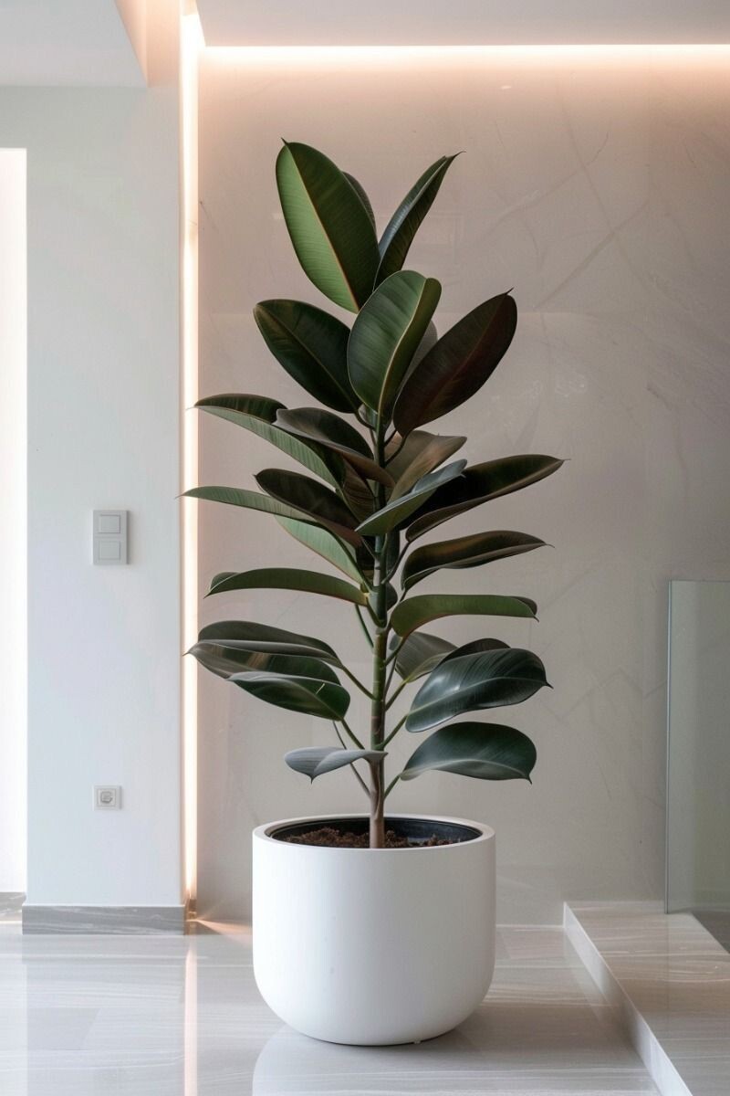 фото взято с Pinterest