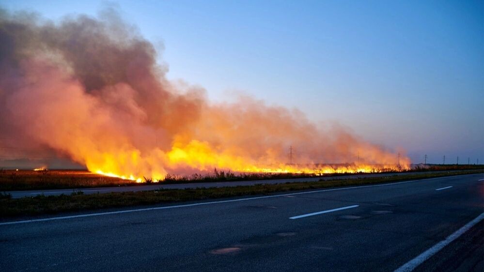    Фото: Kyrylo Glivin/Shutterstock/Fotodom