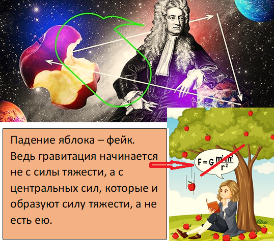 Падение яблока, якобы натолкнувшее Ньютона на закон гравитации, - не только историческая выдумка!