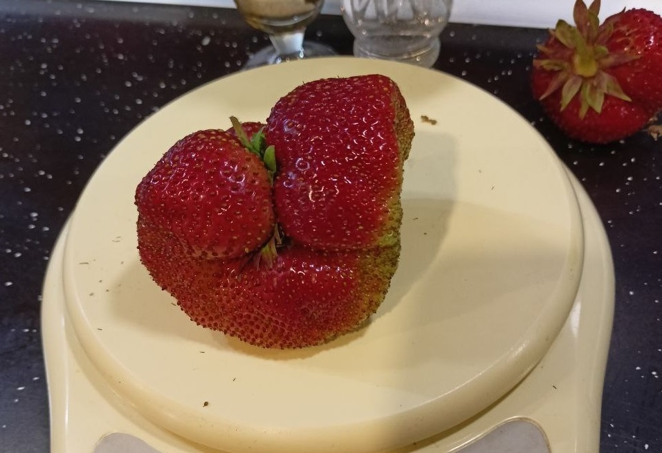    Вес ягоды составляет 131 грамм