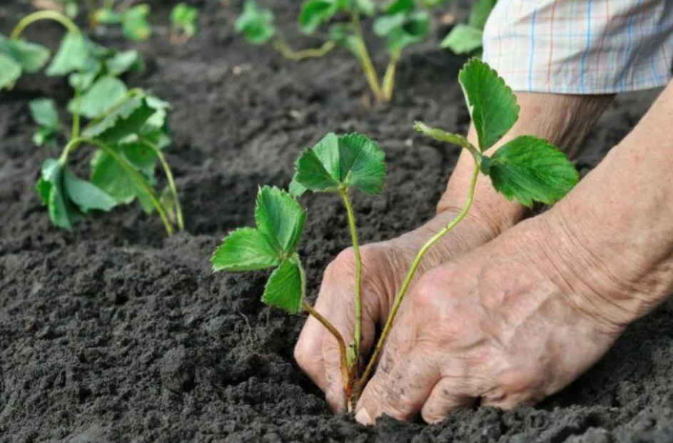 Мы ждём ваших лайков, это помогает каналу👍👍👍👍👍👍