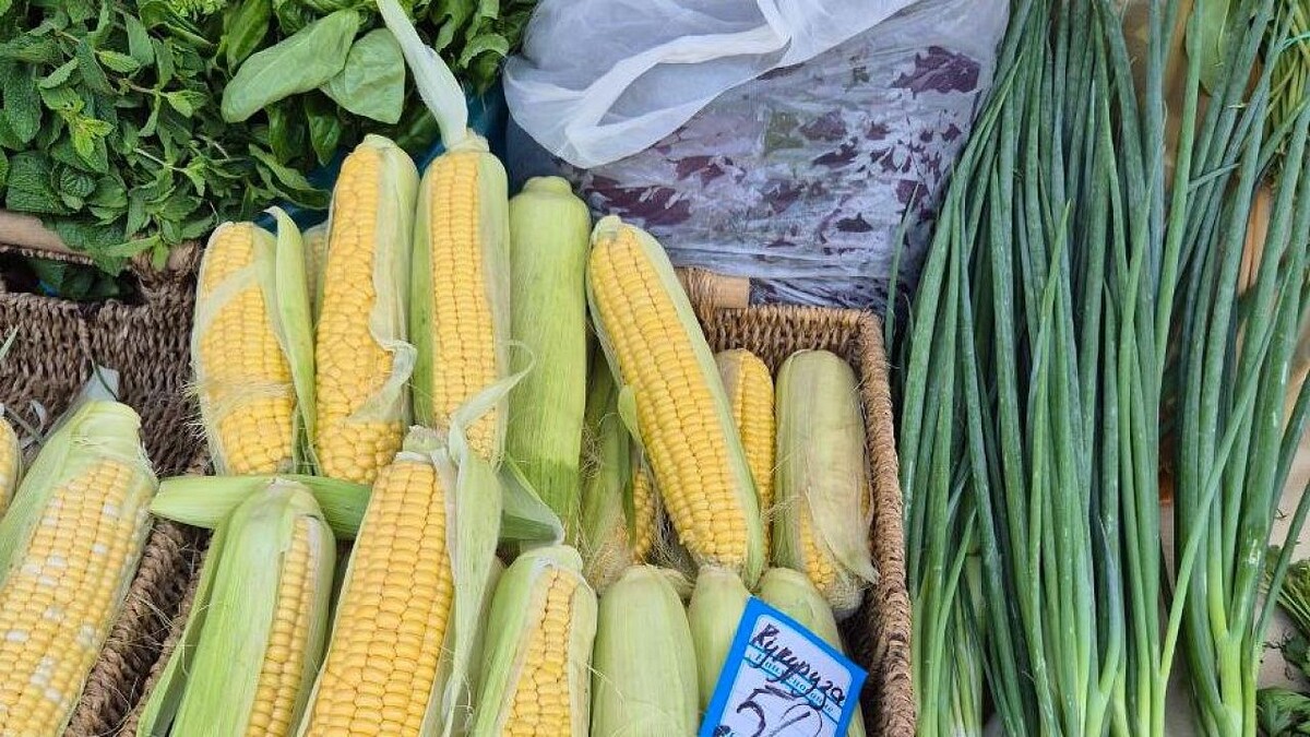    Фото: телеканал «Краснодар»