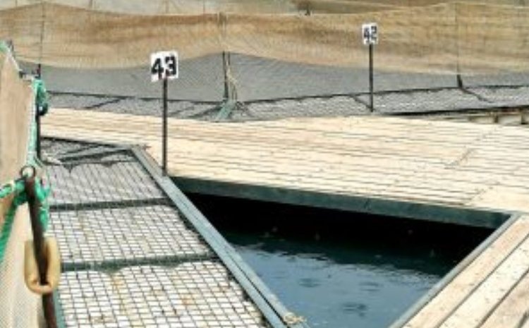    Фото: Россельхознадзор РФ