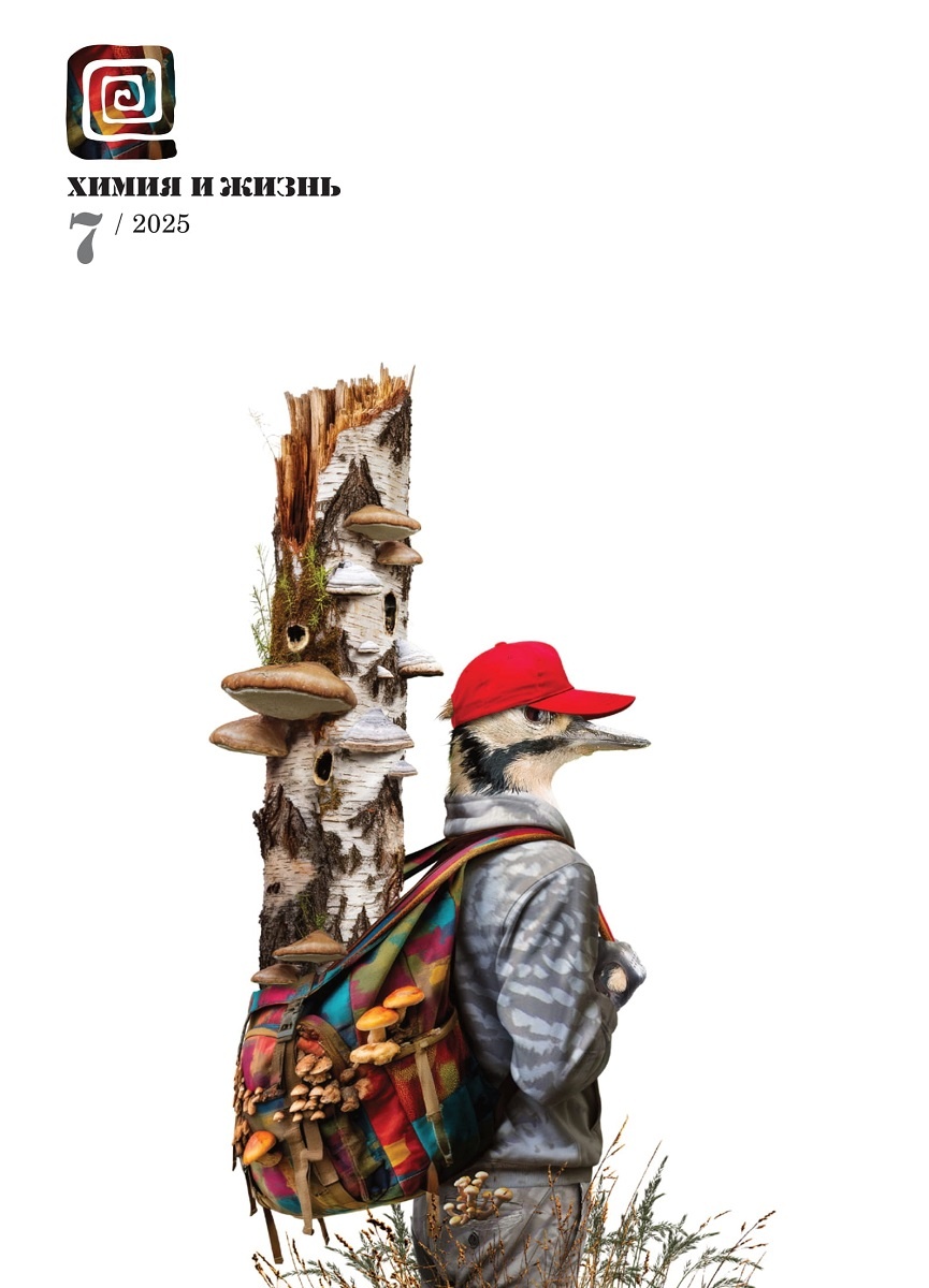 Дизайн обложки: Александр Кук