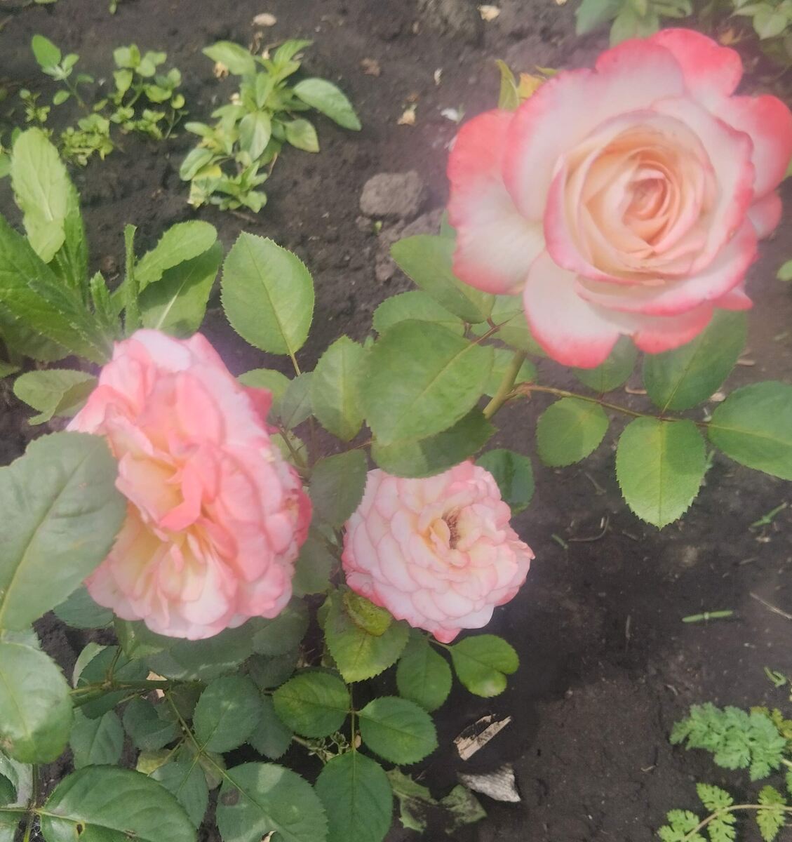 фото Татьяны