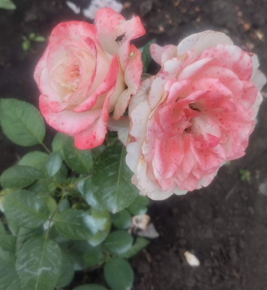 фото Татьяны