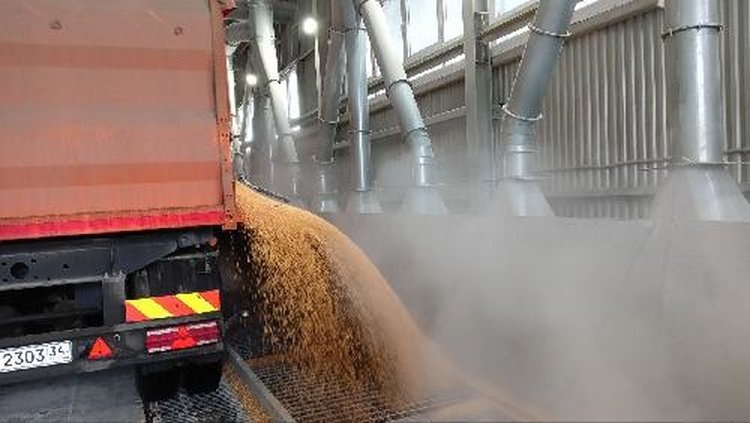    Фото: Комитет сельского хозяйства Волгоградской области