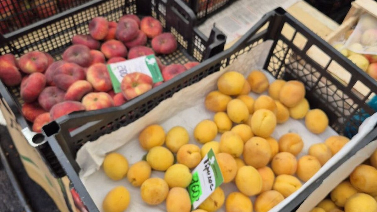    Фото: телеканал «Краснодар»