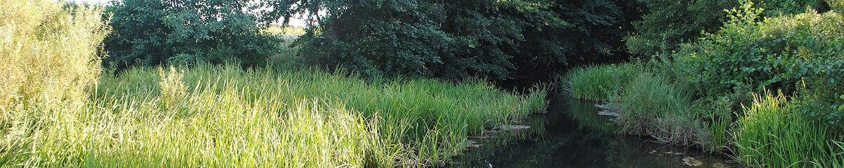    Фото: Сергей Егоров