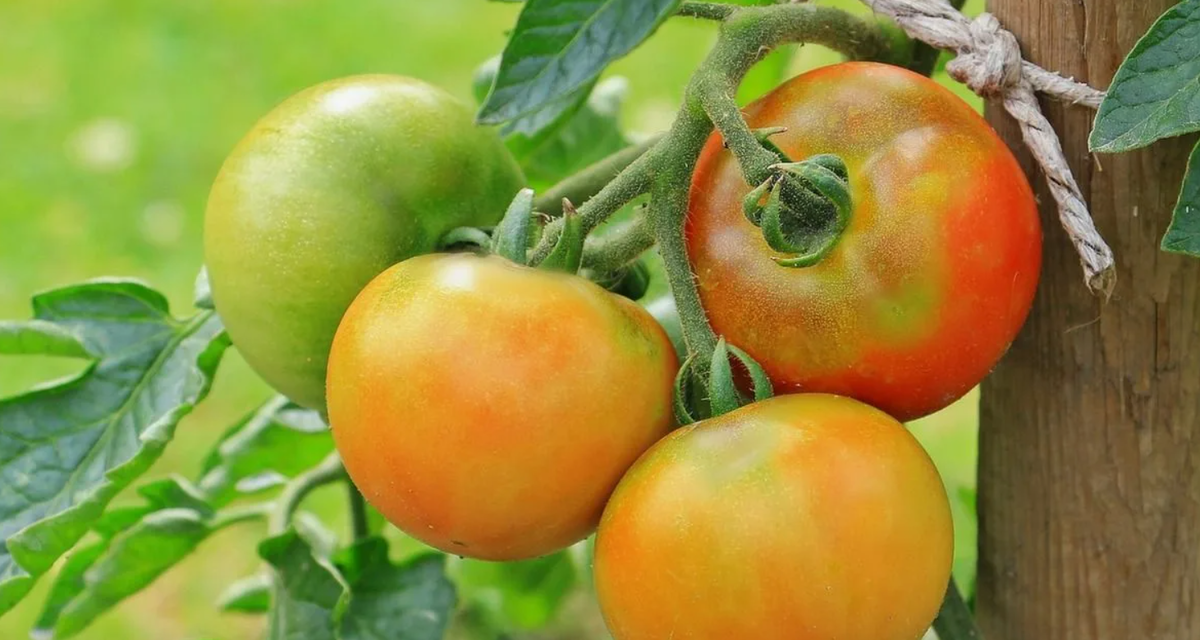 Ваши лайки нужны нашему каналу👍👍👍👍👍👍