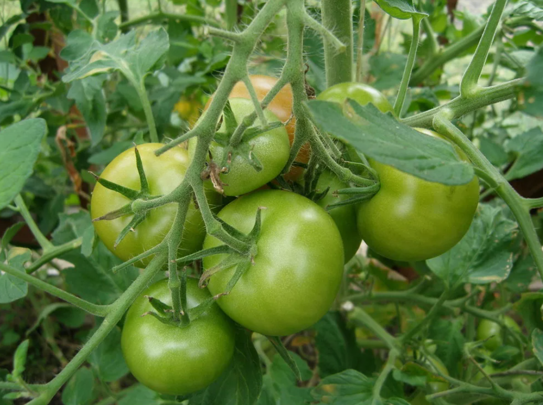 Нажимайте пальчик вверх, они помогают каналу👍👍👍👍👍👍👍