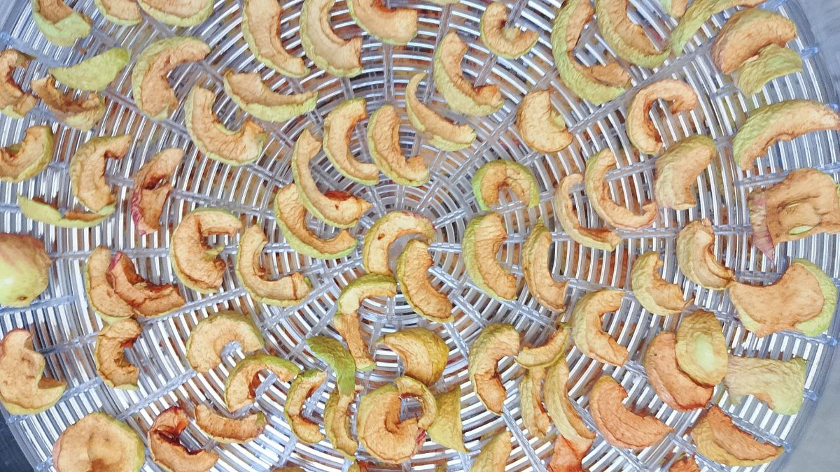 Яблочные чипсы