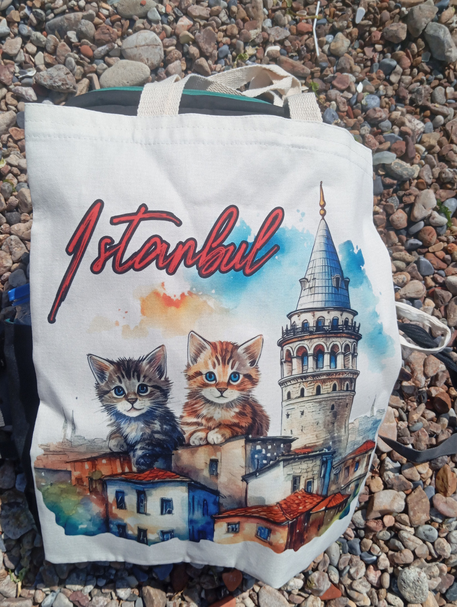 Коты сидят у Галатской башни в Старом городе....