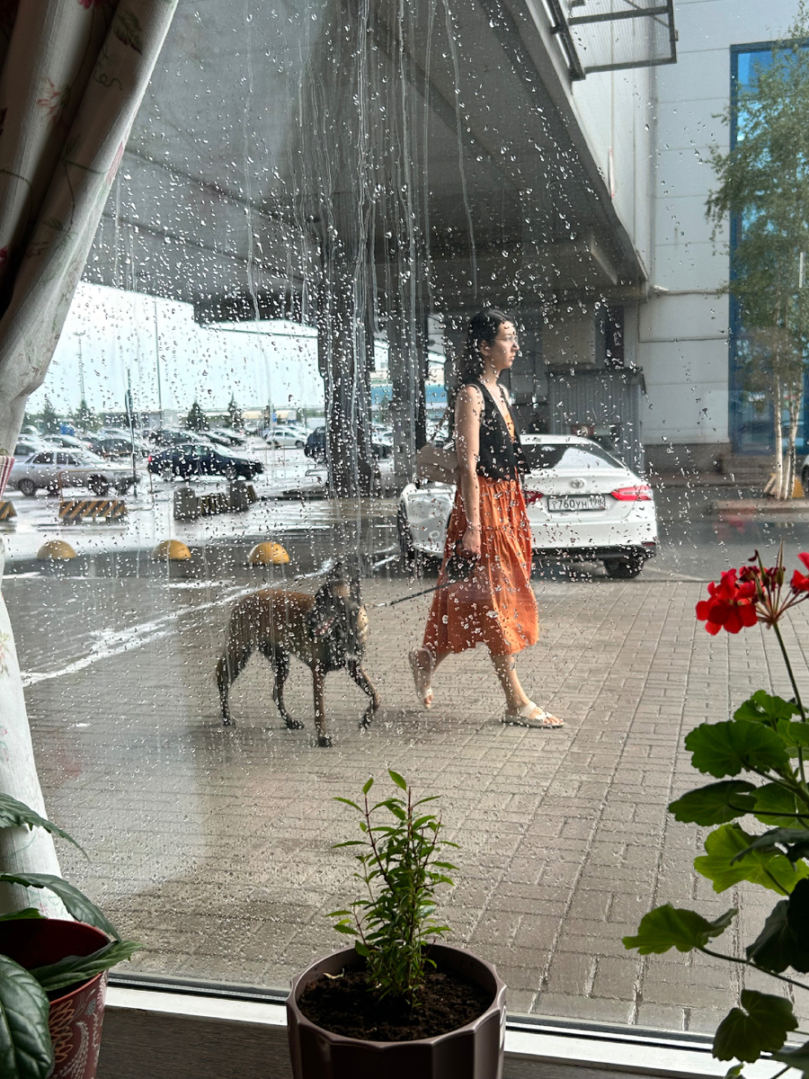 Вид из кафе, поистине случайное фото девушки с собакой. Оба так прекрасно фотогеничны, что я слегка завидую.