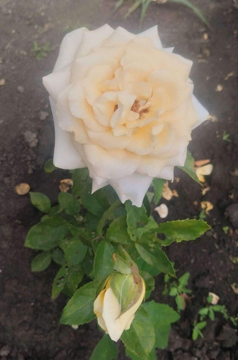 фото Татьяны