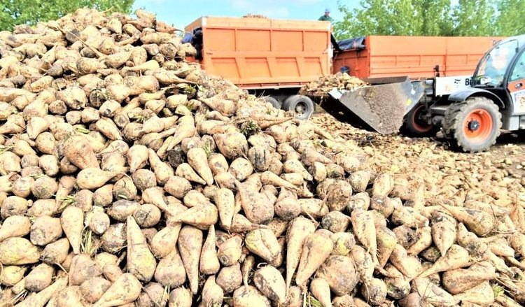    Фото: Администрация Краснодарского края