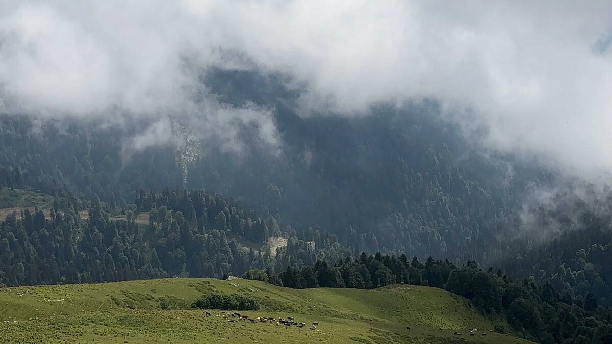    Фото: телеканал «Краснодар»