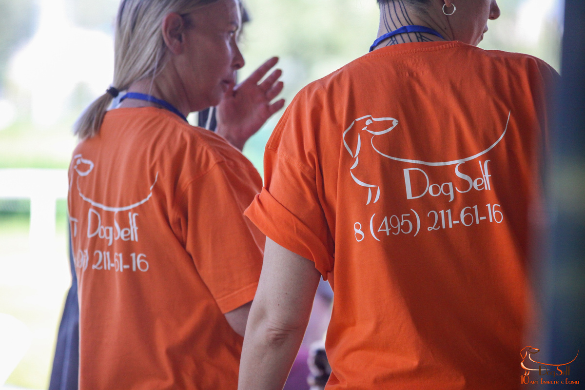 Волонтёры кинологического центра DogSelf в фирменных оранжевых футболках помогают на соревнованиях по послушанию собак. Фото: Алиса Пономарёва, специально для DogSelf.