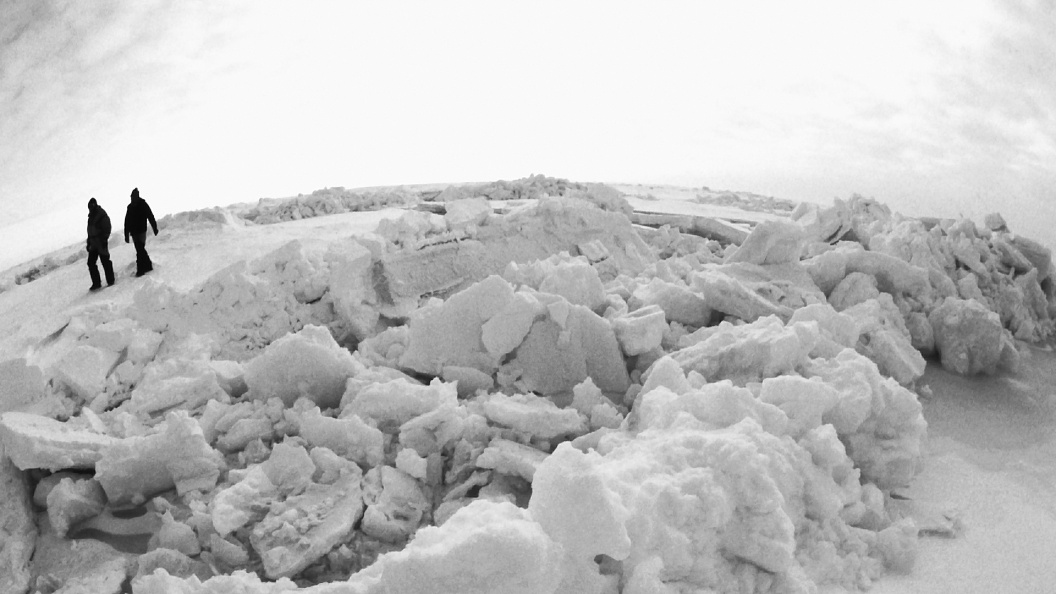    Фото: Roman Denisov/Globallookpress