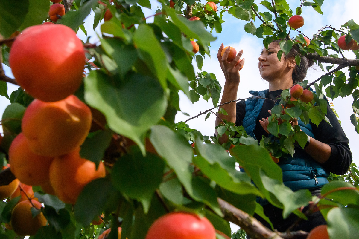 Фото: © Klaus-Dietmar Gabbert/ dpa/ Global Look Press
