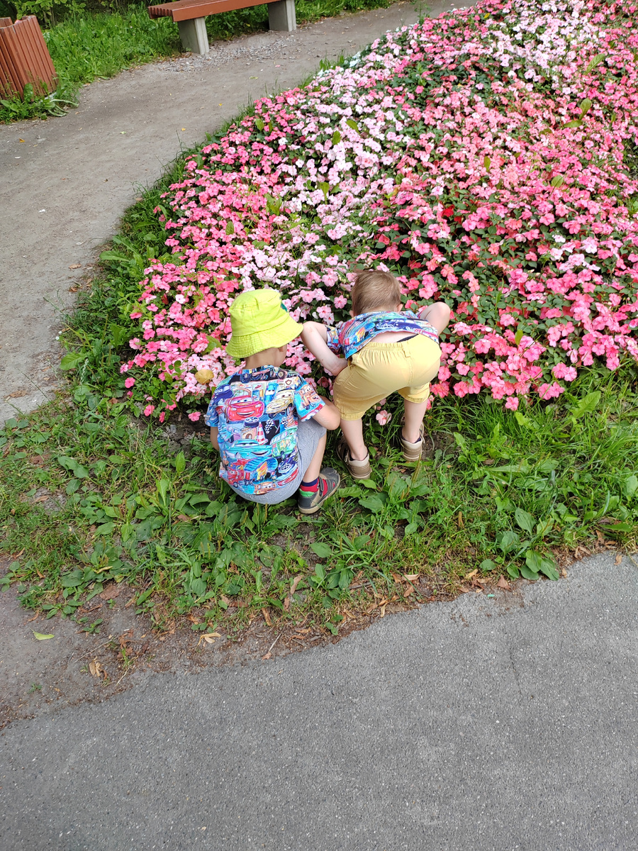 Цветы нюхают