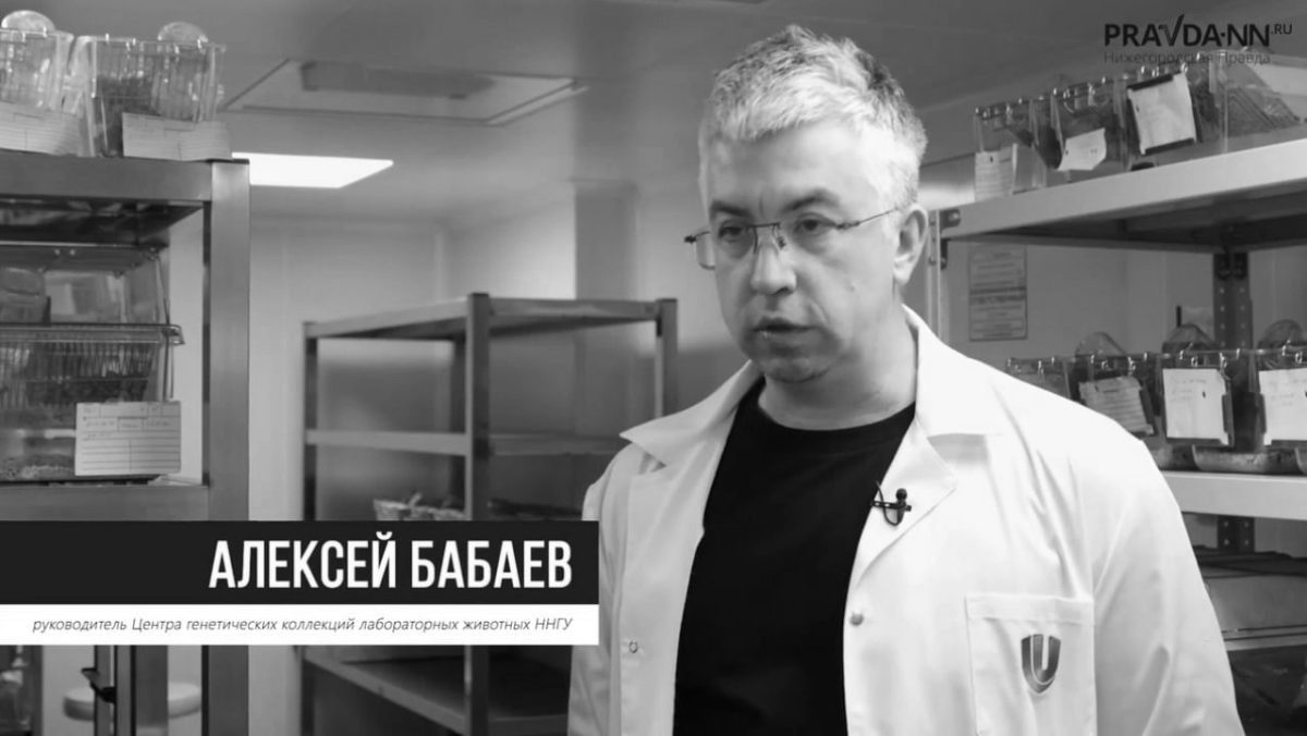    Его не стало ночью 1 августа