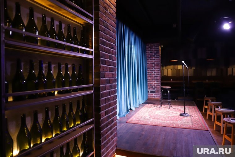    Ирина Мягкова приедет с новой программой